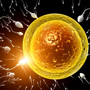 Eski fohishalar rasmlar Yetuklar porno 3G