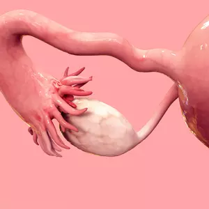 content-image